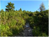 Planina Kosmačeve Rastke - Velika Raduha